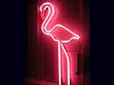 Neon Tasarım & İmalat